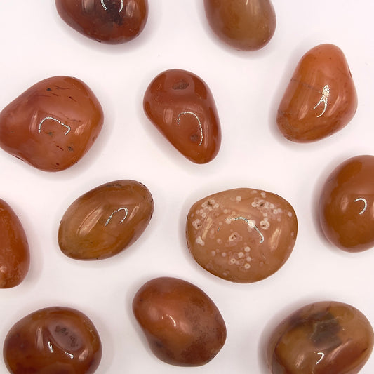 Cornalina rodado - White Shine