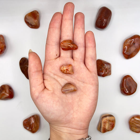 Ágata Bandeada rodado