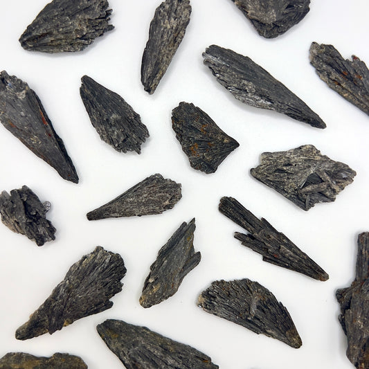 Taramita | Escoba de Bruja