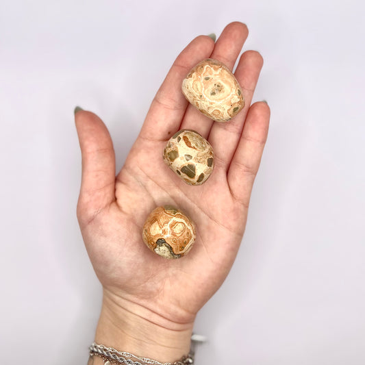 Jaspe Leopardo rodado - White Shine