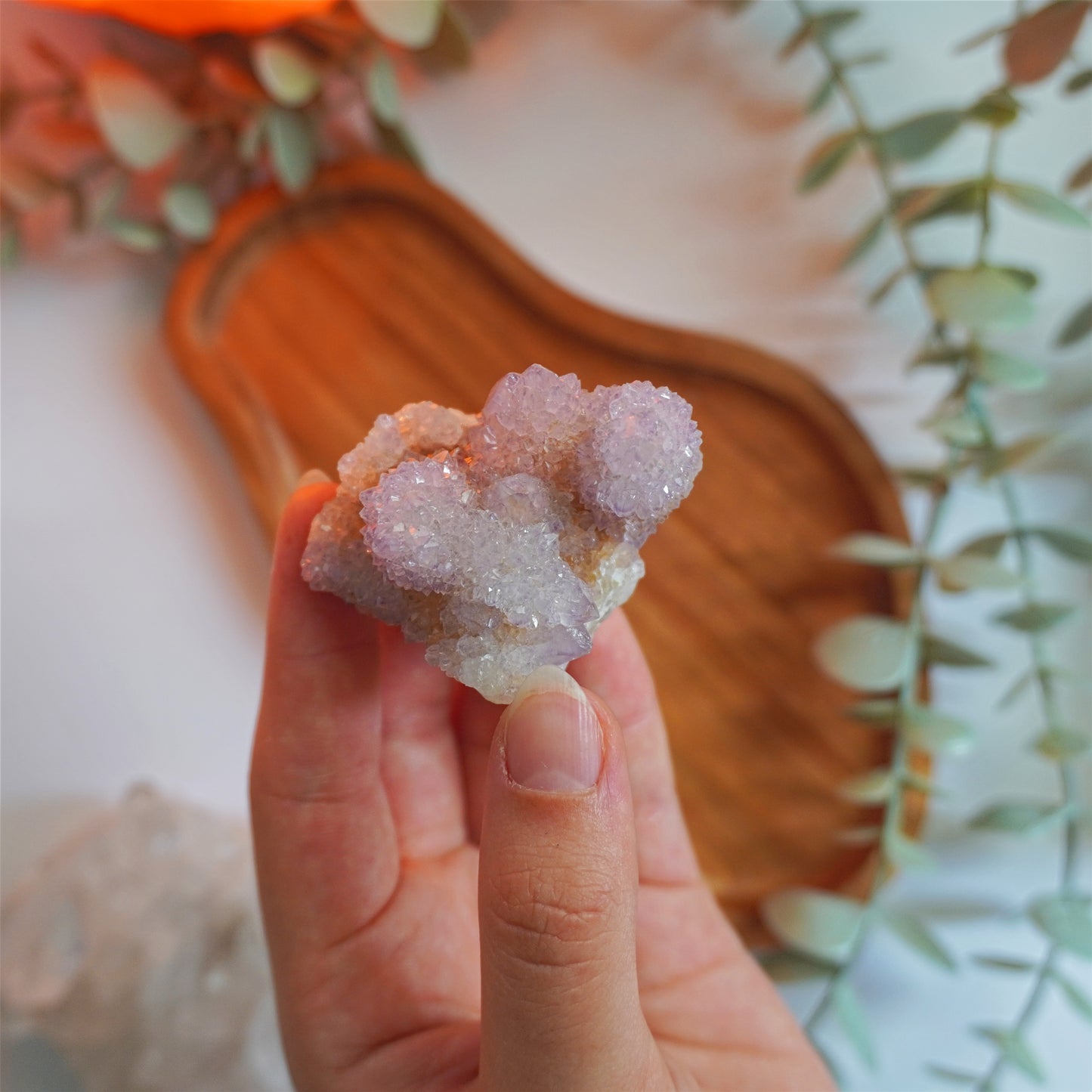 Drusa de Amatista Cactus | Calma, protección y crecimiento espiritual