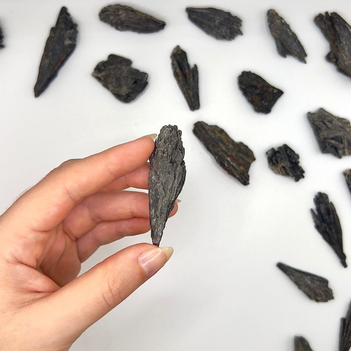 Taramita | Escoba de Bruja