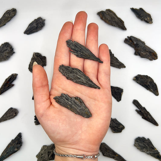 Taramita | Escoba de Bruja