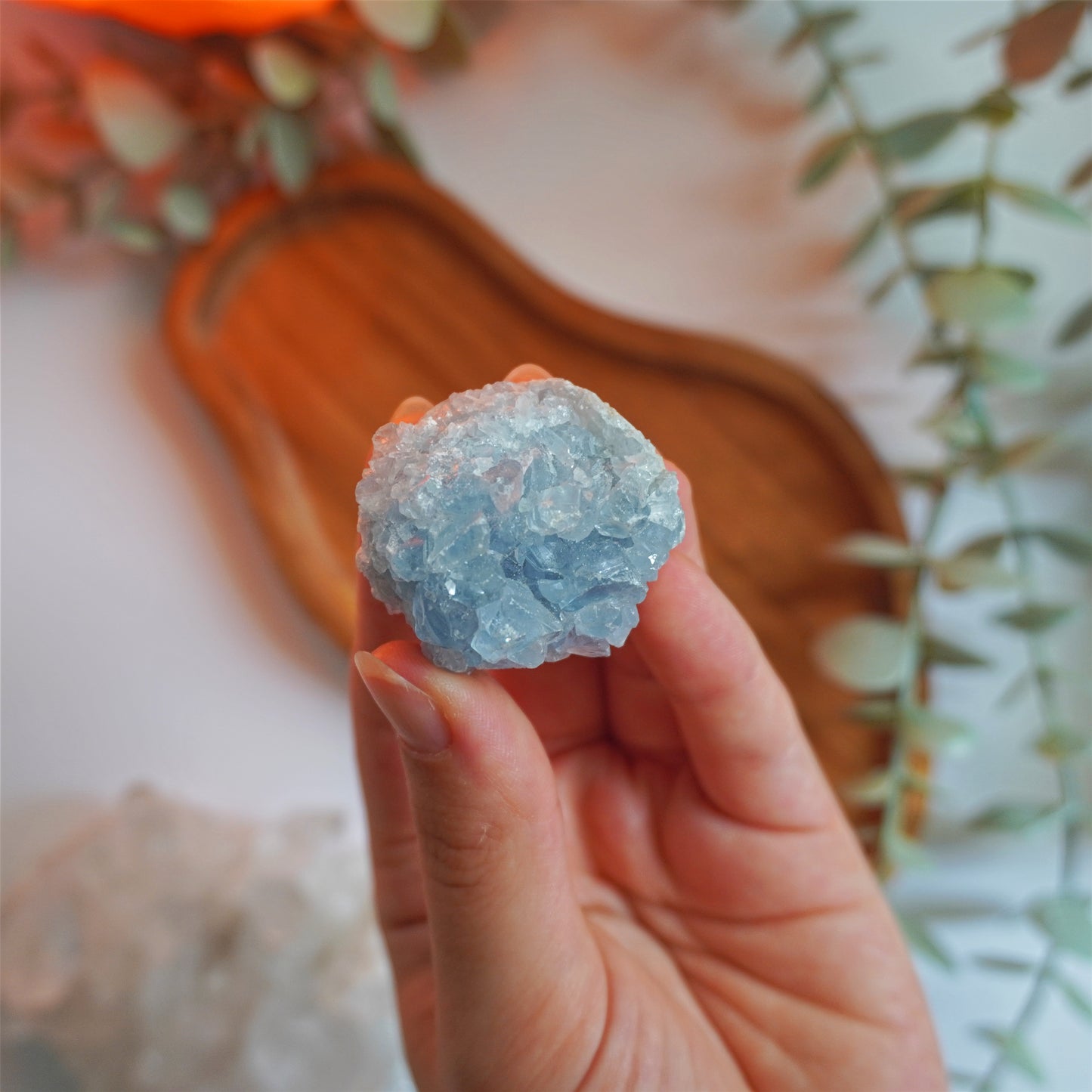 Mini Drusa de Celestina | Desarrollo espiritual y calma