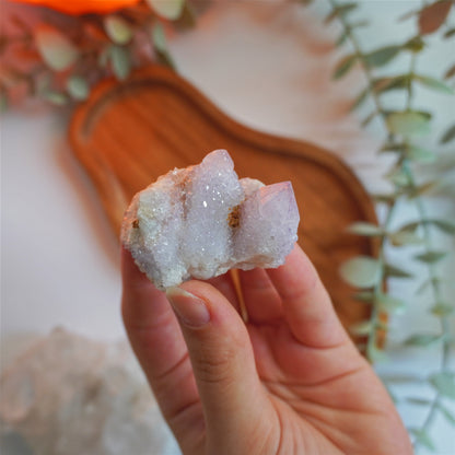 Drusa de Amatista Cactus | Calma, protección y crecimiento espiritual
