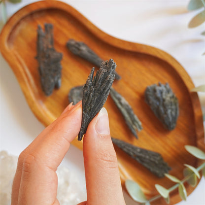 Taramita | Escoba de Bruja | Protección y superación