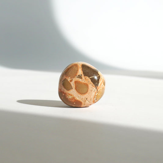 Jaspe Leopardo rodado