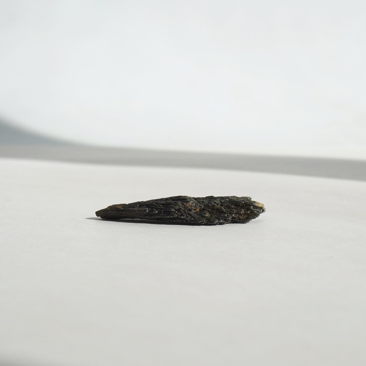 Taramita | Escoba de Bruja