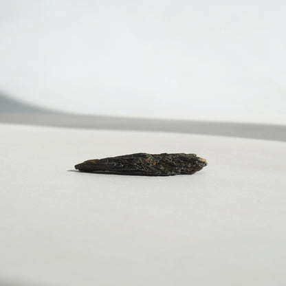 Taramita | Escoba de Bruja