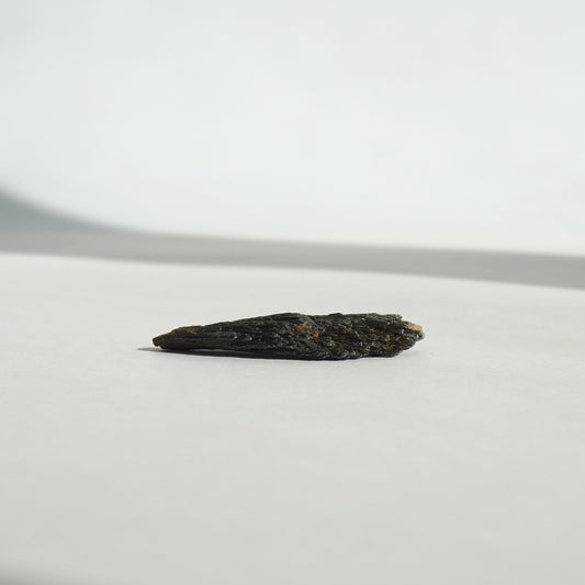 Taramita | Escoba de Bruja